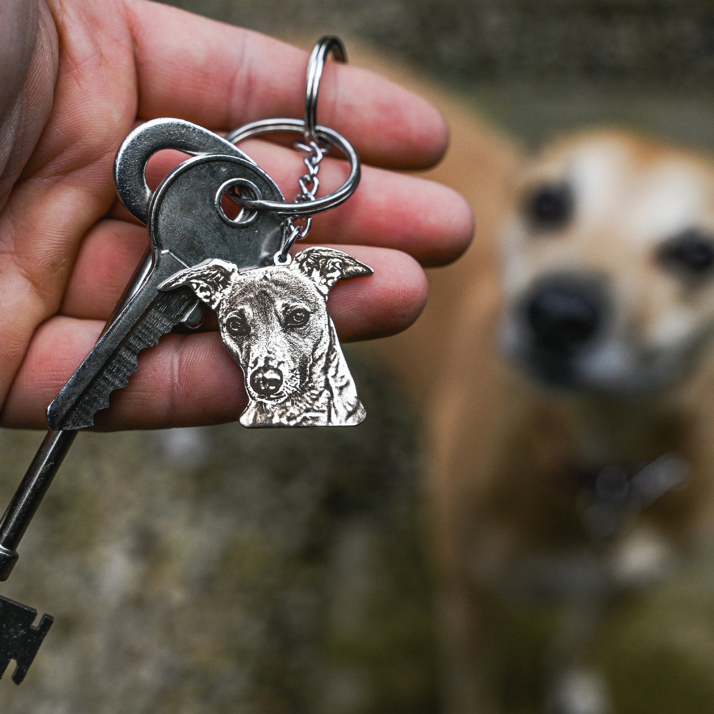 Equine Cutout Keychain
