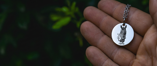 10 Gifts for Horse Lovers Actually Worth Buying